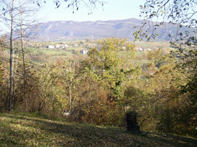 View in Fall