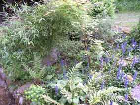 bedroom garden