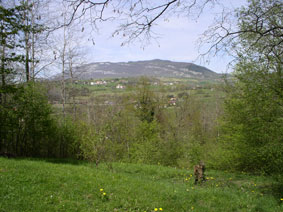 View in spring