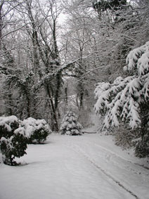 entrance in snow 2011