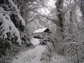 chalet in snow