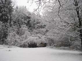 Garden in snow