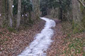 path with winter ice