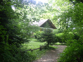 chalet in forest
