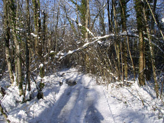 upper path in snow