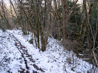 upper trail in ravine