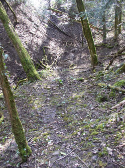 trail along the level area to the stream