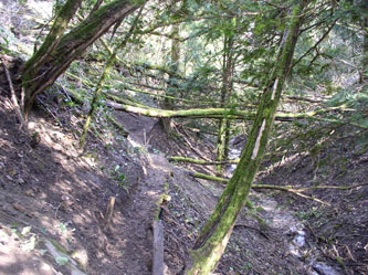 trail in ravine