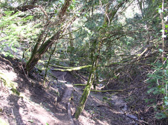 looking down the ravine