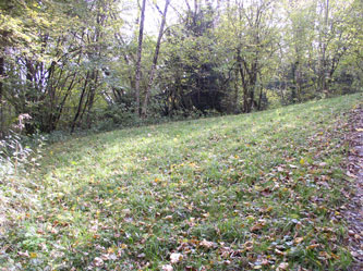Lower meadow in autumn