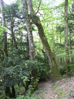 west end of bottom boundary trail