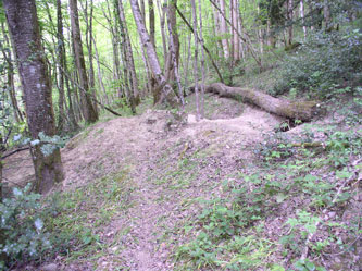 middle trail, badger dens