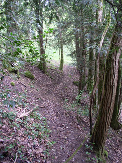 upper trail