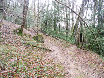 badger trail