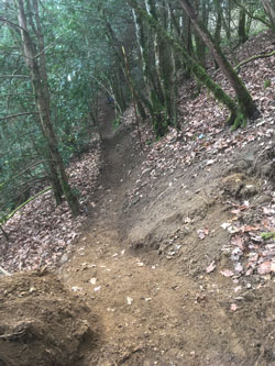 rebuilt upper trail