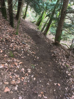 rebuilt upper trail