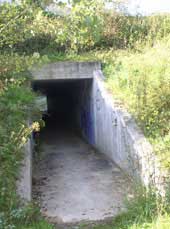 Tunnel under the highway