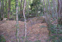 Badger den