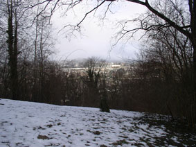 view Dec 2010