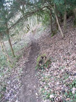trail along the lower property line