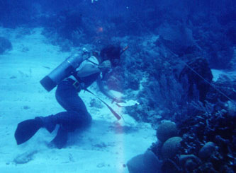 diving on Belize Barrier Reef 1973