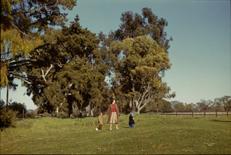 on Stanford golf course March1944