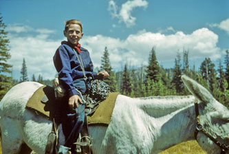 me and donkey, Glen Aulin trail, Yosemite, Aug.1952
