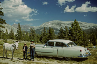 Tuolomne Meadows, Yosemite, Aug.1952