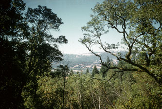 Geyserville, view from upper trail