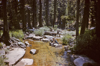 Trail to Yosemite Valley, Aug.1958