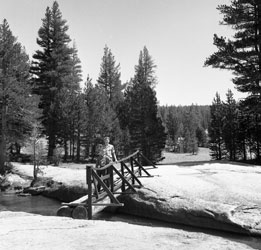 Tuolomne Meadows, Yosemite, Aug.1959