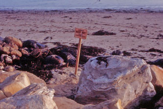 Santa Barbara oil spill 1969