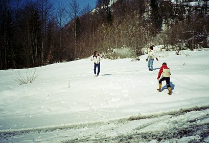 winter 1988