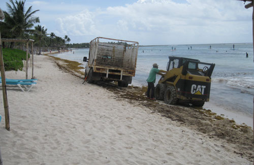 beach clean up