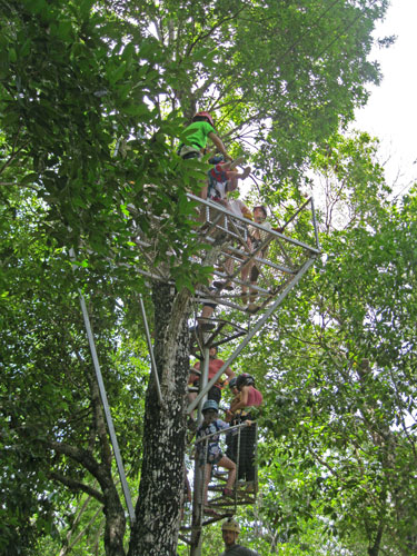 climbing the tower