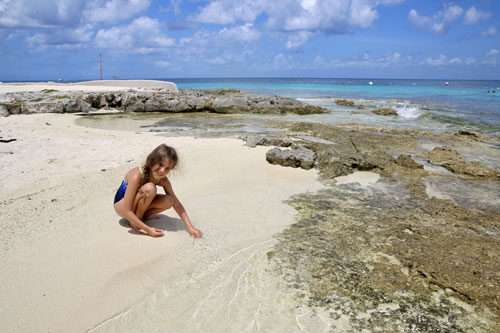Laleh on the beach