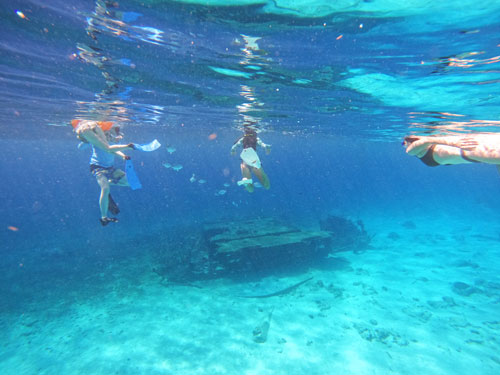 snorkling over a wreck