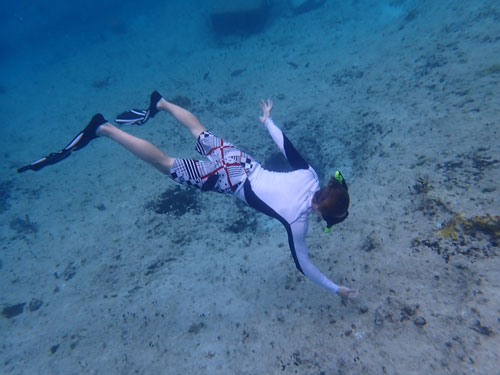 Benji diving