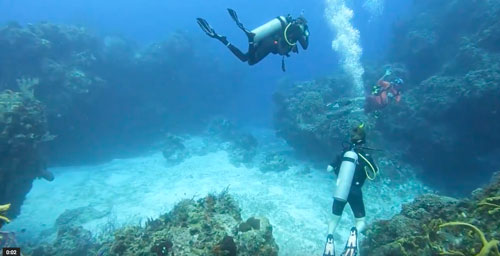diving
