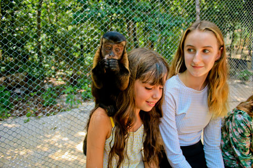 Lia and monkey