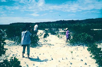 Filming on Ouvea
