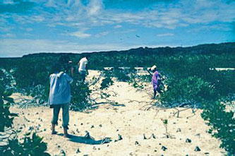Martine filming, Ouvea 1978