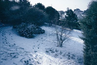 January snow