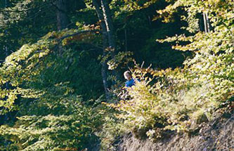 Alex in the woods
