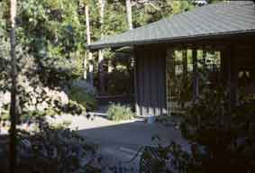 kitchen garden