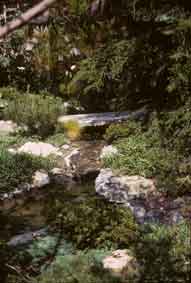 pond and fountain