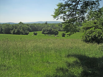 view towards the Saône River