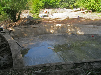 new pond