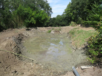 pond