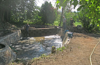 new pond